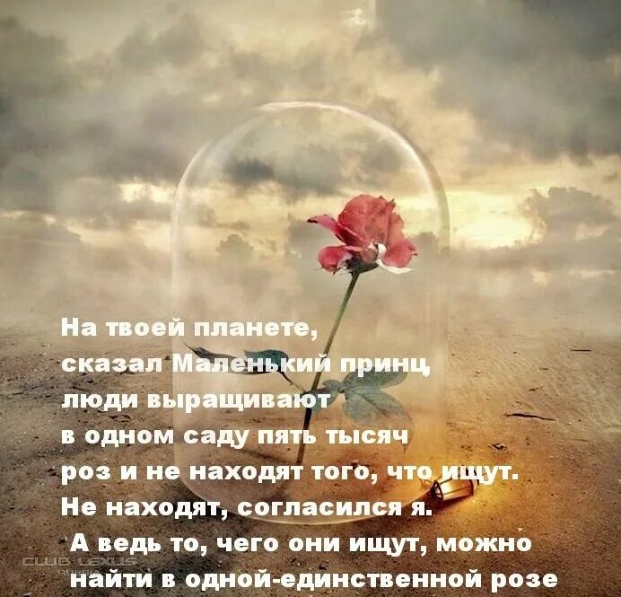 Слова песни твоя планета. Слова песни твоя планета. Слова песни твоя планета. Слова песни твоя планета. Тепло ли там летом на твоей планете?.