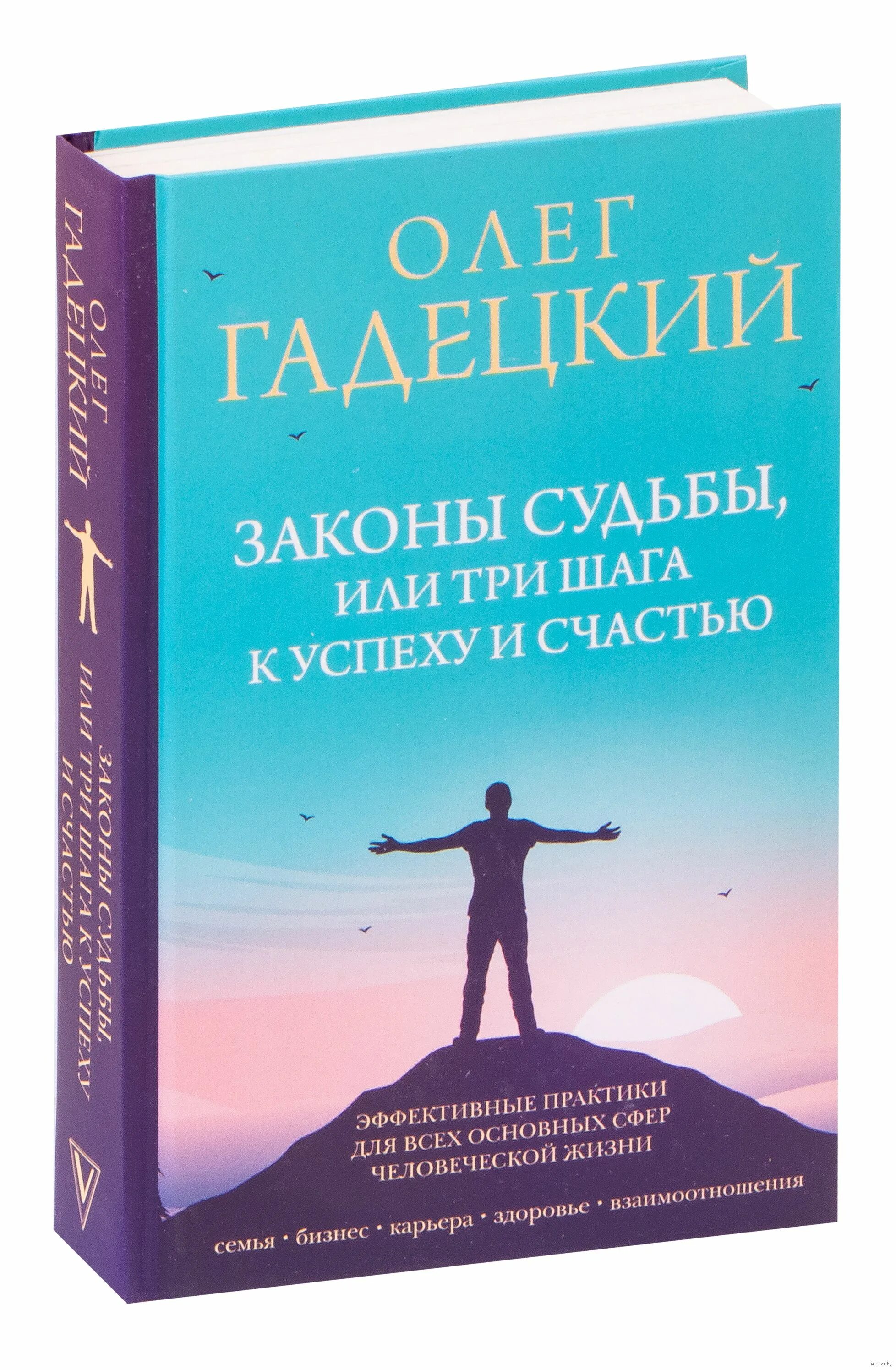 Гадецкий законы судьбы. Гадецкий законы судьбы книга.