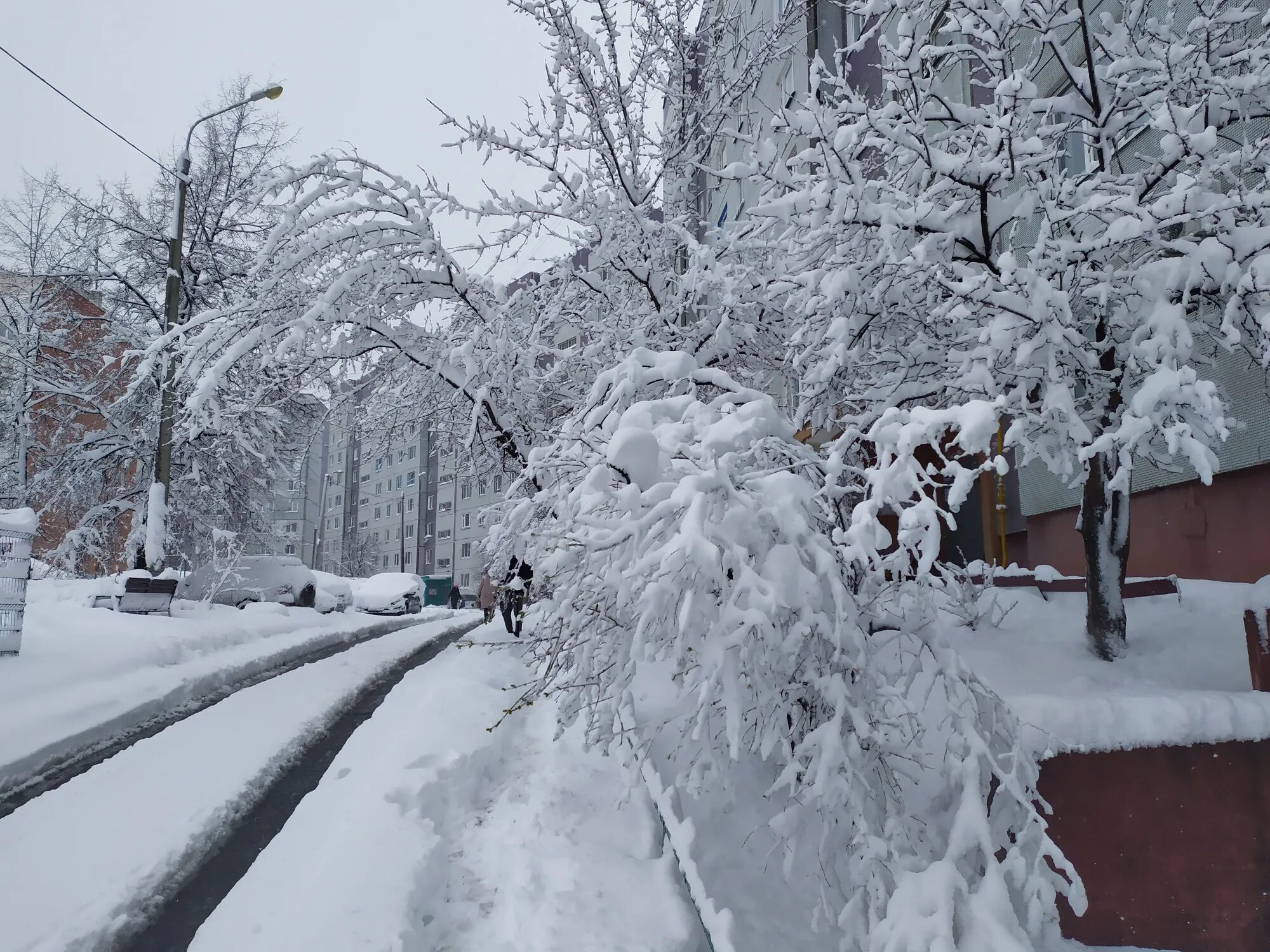 Снег в пензе