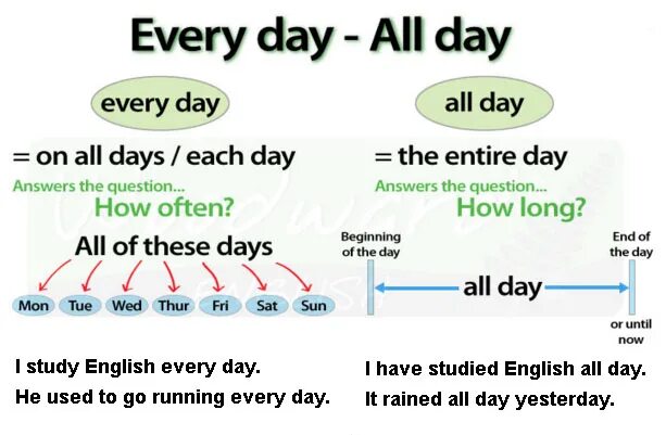 Everyday the same. Everyday and every Day. Every Day и everyday разница. All Day правило. All every разница.
