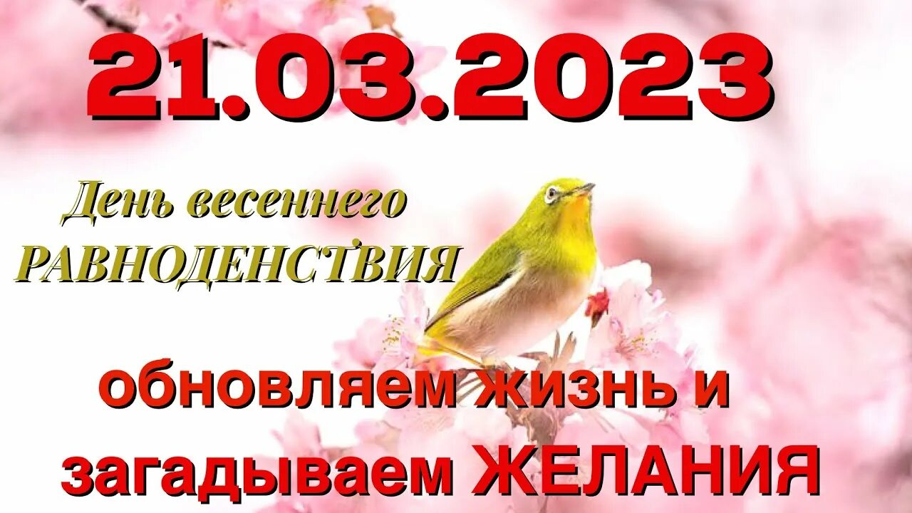 День весеннего равноденствия 2023. Весеннее равноденствие в марте.