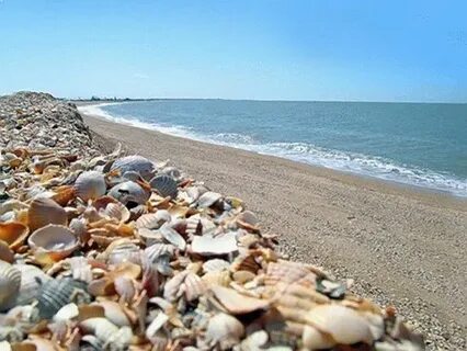 Выходные на азовском море