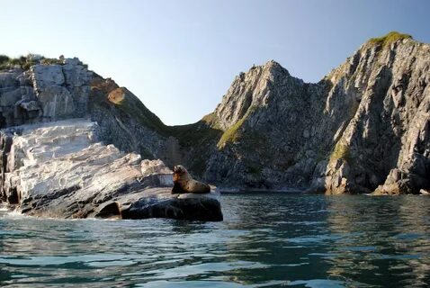 Морские экскурсии петропавловск камчатский