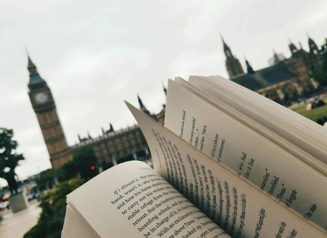 изучение английского языка. книги эстетика. английский язык эстетика. иностранные языки. изучение иностранных языков.