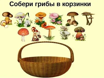 Дидактическая игра про грибы