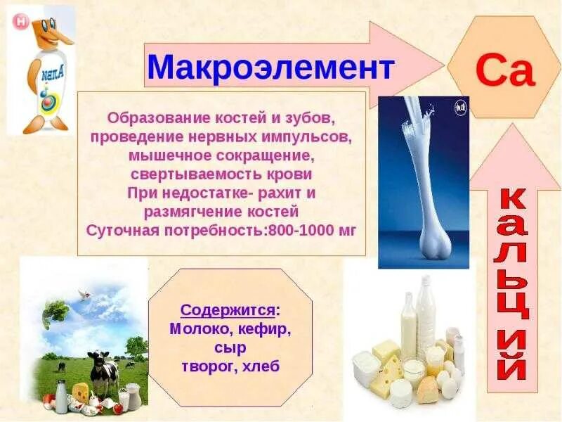 Макро и микроэлементы человека. Макроэлементы в организме человека. минеральные вещества макроэлементы. микро и макроэлементы презентация. макроэлементы для презентации.
