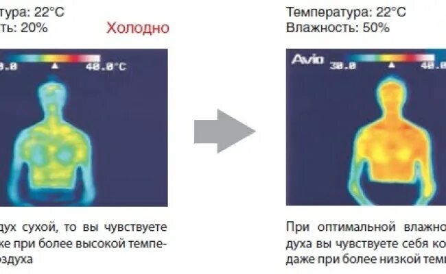 Температура ощущения воздуха. Комфортная влажность воздуха для сна. Комфортная температура. Комфортная температура для сна. Влажность холодного и теплого воздуха.