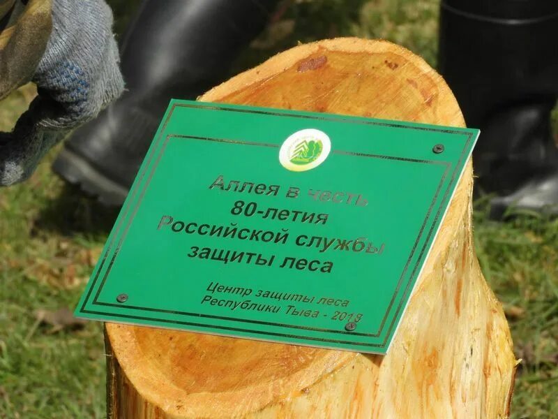Центр защиты леса. Центр защиты леса республики тыва. с днем работника леса. цзл республики тыва. центр защиты леса тыва фото.