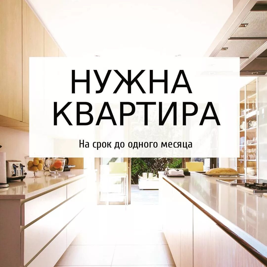 срочно сниму квартиру. объявление нужна квартира. ищу жилье.