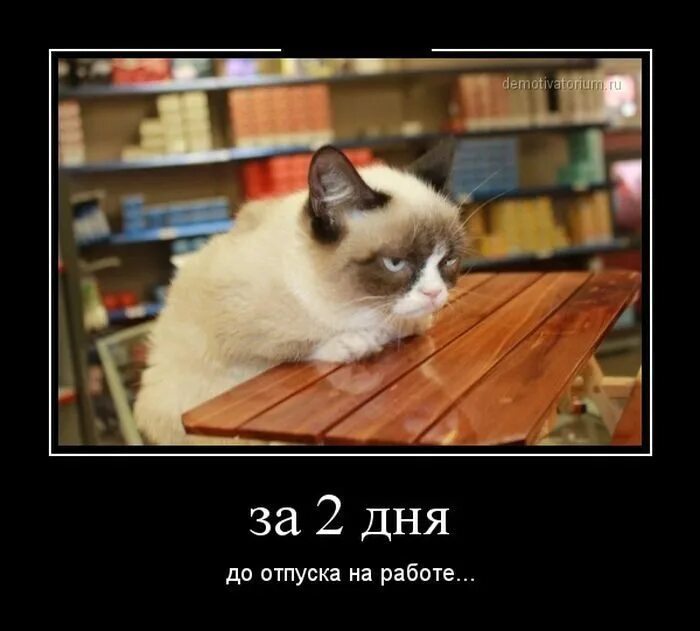 До 3 февраля осталось