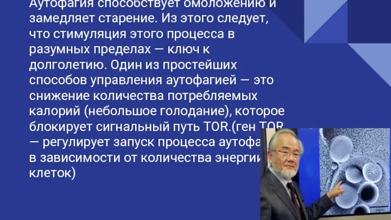 Аутофагия это простыми словами. Голодание аутофагия. Аутофагия презентация. Аутофагия что это такое простыми словами. Стимуляция аутофагии.