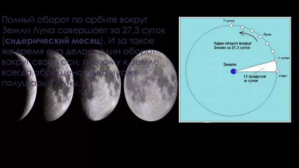 Сколько оборотов солнца
