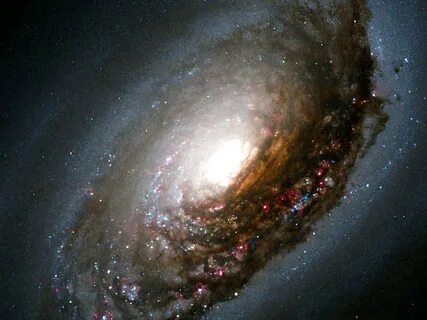Universe 24
