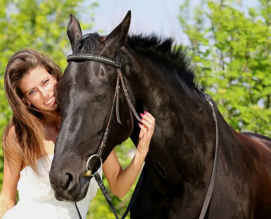 конь рыжий. к чему снится лошадь женщине коричневая добрая. лошади осенью.