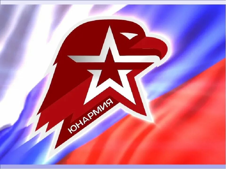 Эмблема юнармии