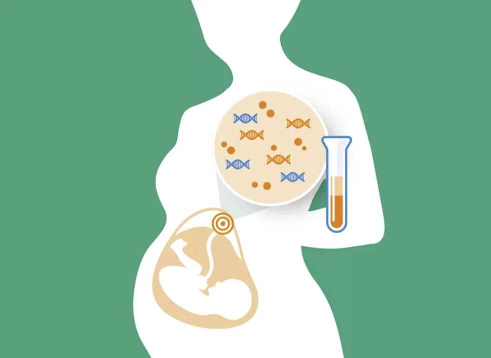 Тест днк беременным. Беременность медицина. Фон для презентации беременность. Эко беременность. ДНК беременности.