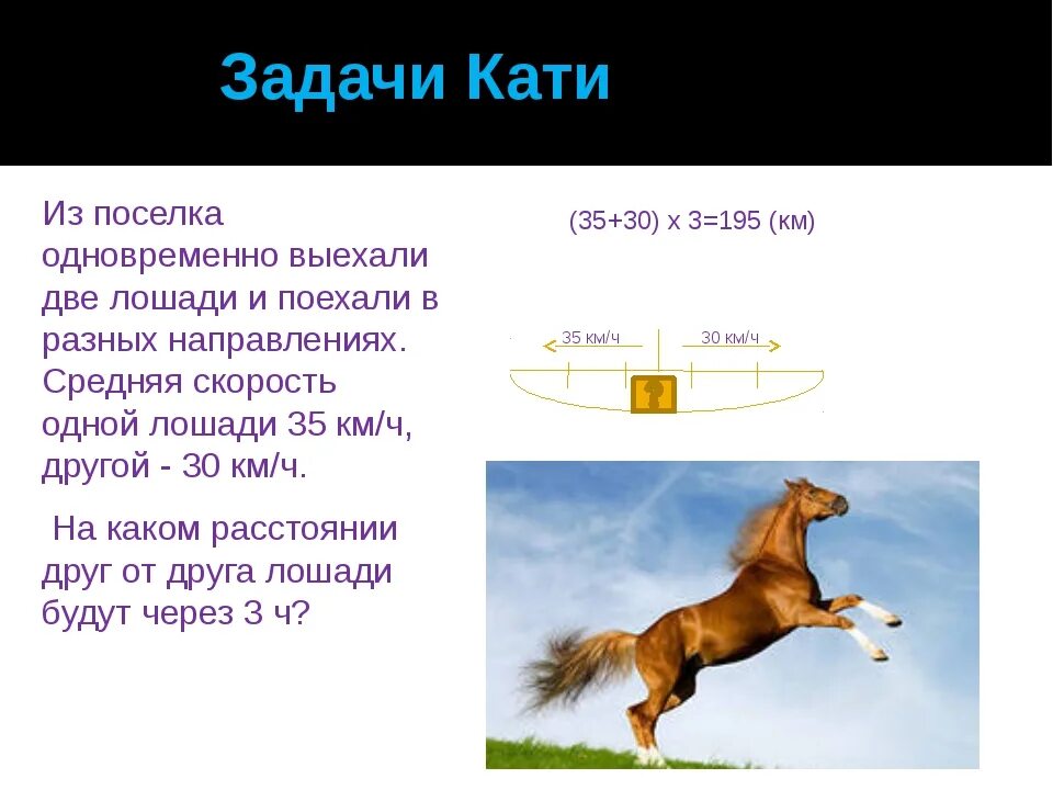 Скорость лошади в километрах в час. Скорость лошади. Средняя скорость лошади. Максимальная скорость лошади. Скорость лошади км/ч максимальная.
