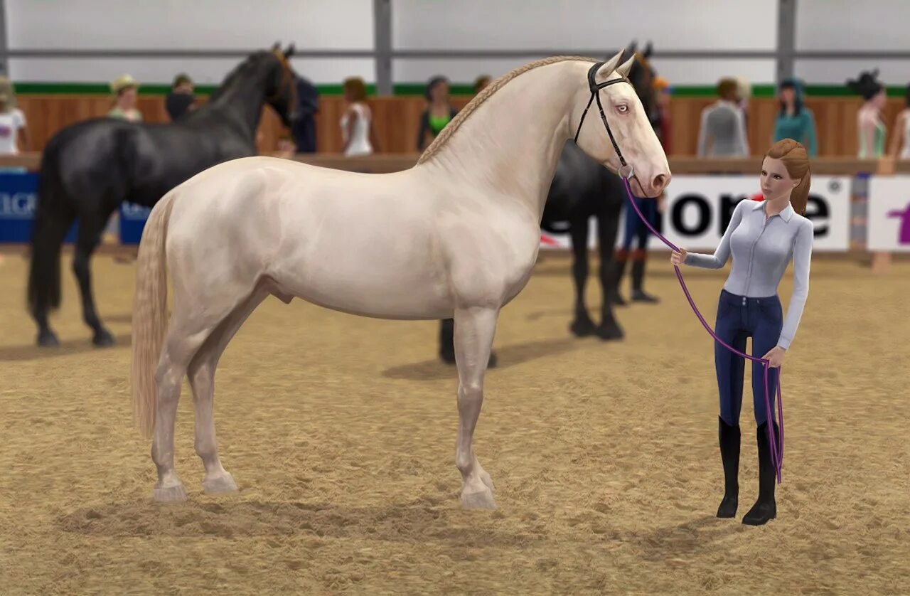 Кск 2 1. Кск "livadia: horse heaven". Кск "livadia: horse heaven". Кск 2 1. Кск heavenly horse.