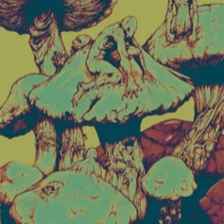 Hypno mushroom