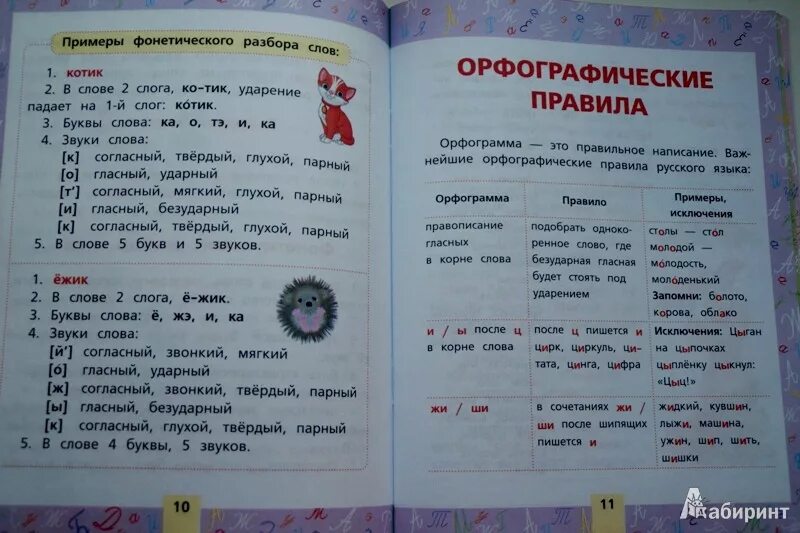 Правила русского языка 1 класс. Русский язык выучить все правила. Все правила по русскому языку 5 класс. Все правила русского языка Матвеев. Ежик разбор по звукам