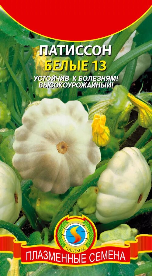 Патиссоны в пакете. Патиссон две звезды, смесь 1г ц/п (уу). Патиссоны в пакете. Патиссон белый 13 средний 1г. Солнышко 10 штук.