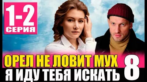 Я иду искать орел не ловит мух