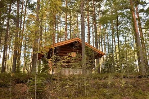Участки в выборгском