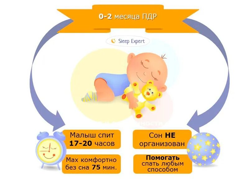 Слип эксперт. Спи малыш режим. Архитектура сна новорожденного. Фразы сна для новорожденных. Сон ребенка 8 месяцев Sleep Expert.