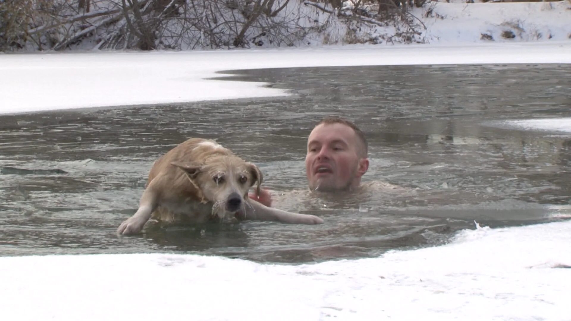 Спасение собаки из воды.