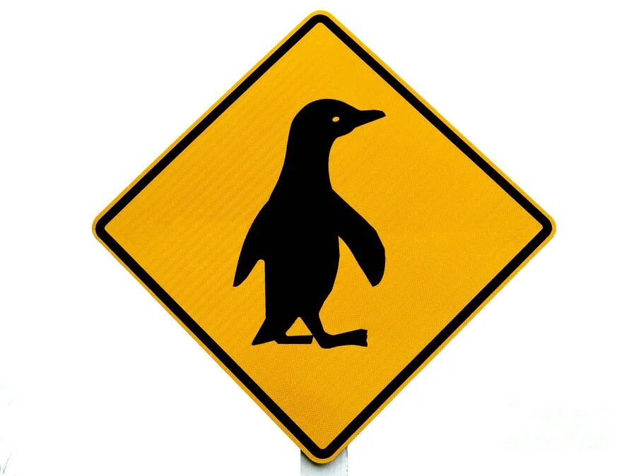 Знак с утками. Знак осторожно пингвины. Дорожные знаки с пингвином. Дорожный знак осторожно утки. Знак пингвина.