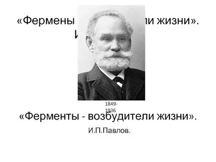 Создатель энзимов