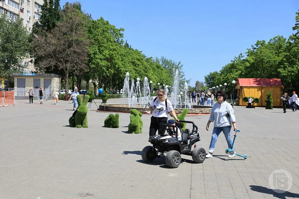 В Волгограде утвердили название сквера у Александро-Невского собора: Яндекс.Ново