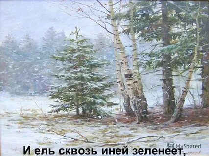 Пушкин и ель сквозь иней зеленеет