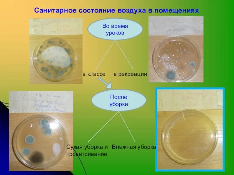 Санитарное состояние воздуха. Санитарное состояние воздуха помещений. Микрофлора воздуха. Санитарно-показательные микробы воды. Санитарно-показательные микроорганизмы воздуха.