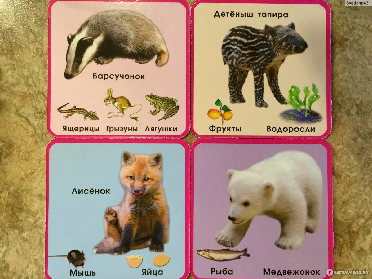 Дикие животные карточки для детей. Детеныши животных карточки. Животные и их дети названия. Карточки мамы и Детеныши животных.
