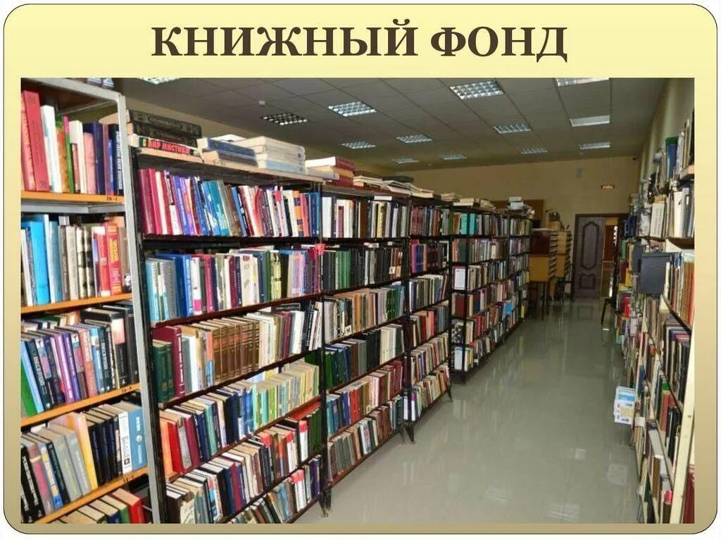 Общий фонд библиотеки. Книжный фонд. Книжный фонд библиотеки. Библиотечный фонд. Книжный фонд картинки.