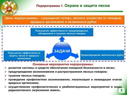 Защита программы развития