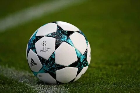Soccer league champion