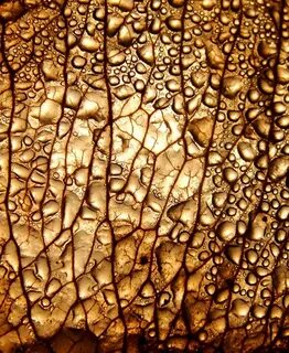 Life textures