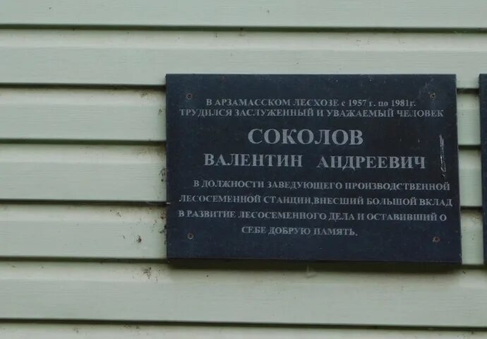 лесное хозяйство ярославской области. фото конкурс лучшее школьное лесничество 2022. дендрарий арзамасского межрайонного лесничества. арзамасское лесничество. арзамасское лесничество.