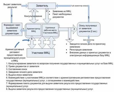 Сроки предоставления услуг мфц
