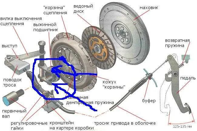 Гоняет выжимной. Устройство сцепления Калина 1. Сцепление Калина 1.4 16 клапанов схема. Схема сцепления 2114 выжимной подшипник.