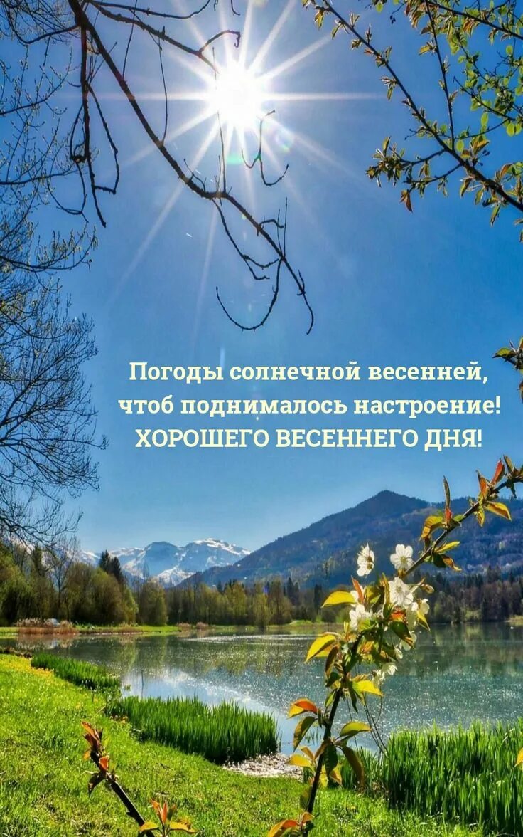 Добрый солнечный день весны