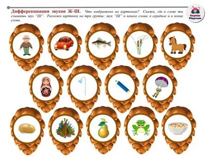 Звуки в слове шишка