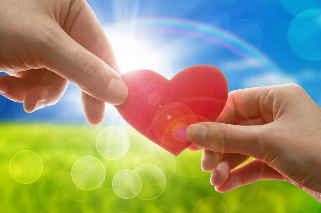 разновидности рыб кои. хрящевые и костистые рыбы отличия. виды рыб в кулинарии. императорский карп. куда относить духовного карпа.