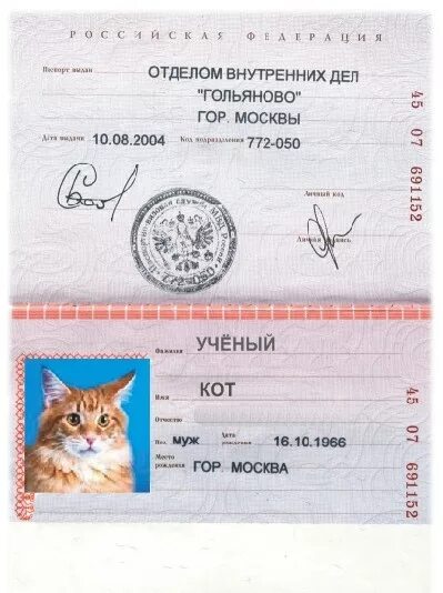 Собачье отчество. Собачье отчество