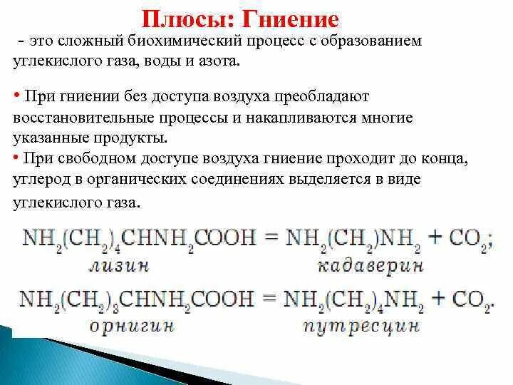 Гниение как биохимический процесс. Углекислота плюс вода. При гниении выделяется углерод. Газ будет выделяться при реакции