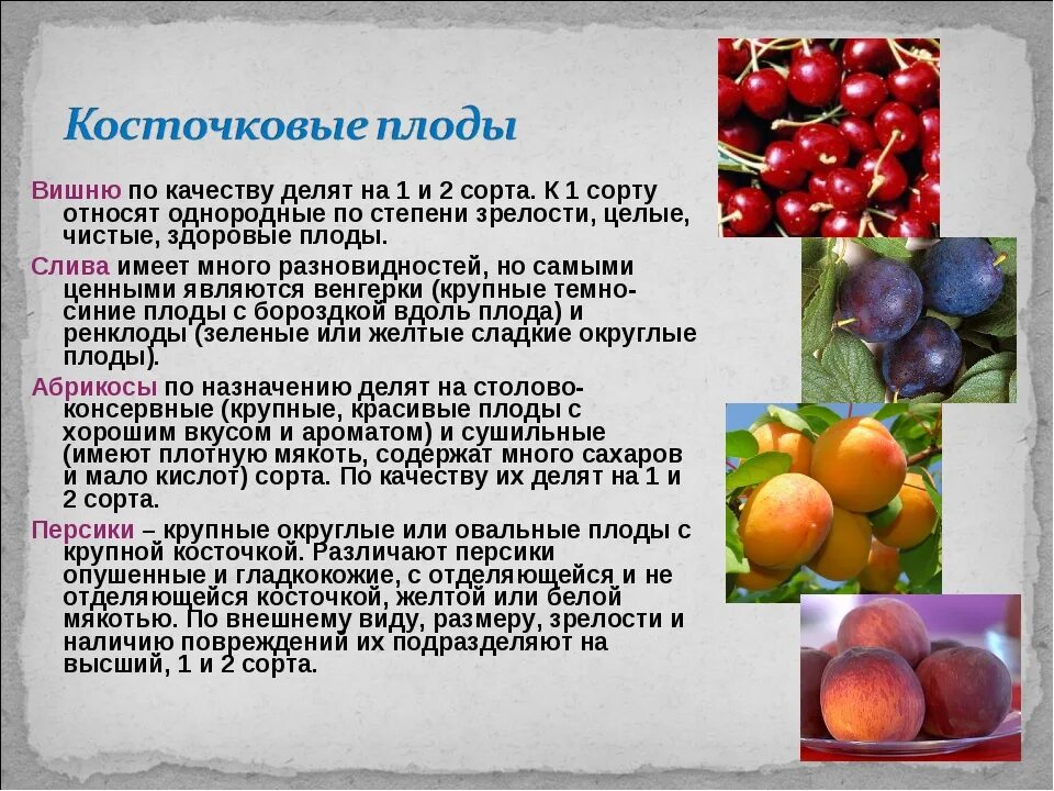 Что относится к плодовым. Косточковые плоды. Семечковые культуры косточковые и ягодные. Плоды семечковых и косточковых культур что это. Косточковые плоды Товароведение.