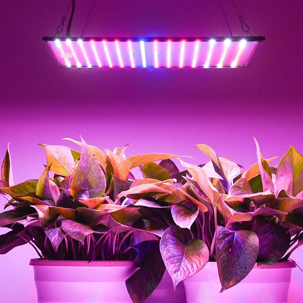 Фитолампа led grow Light. Led лампа для растений полного спектра 130вт Seoul. Фитолампа полный спектр для растений. Фитолампа для растений полного спектра 120вт.