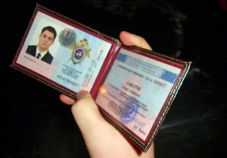 Общественный помощник